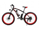 Electric off-road bikes FATBIKE!